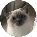 Foto de perfil de Lulu